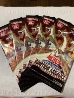 2025年最新】イグニッションアサルト アジアの人気アイテム