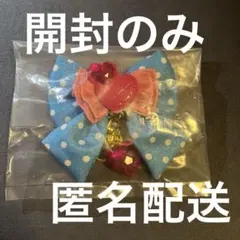 み*ち様 ミニー　キーチェーン　パルパルーザ　ファンダーランド