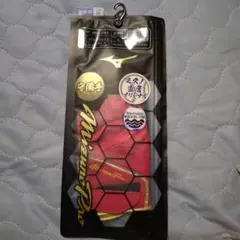 Item thumbnail for item 9563cbf0-956c-4edf-a69b-2c4480054e80