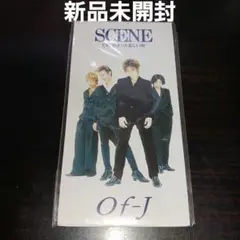 【激レア新品未開封】SCENE/OF-J 安田政利 真宮香 藤井京野 冨安徹