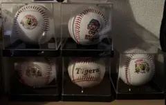 2025年最新】阪神沖縄キャンプグッズの人気アイテム - メルカリ