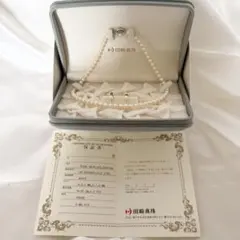 販売証明書有/美品】‧✧̣̥̇‧AHKAH ‧✧̣̥̇‧ティナブリッジブレスレット 