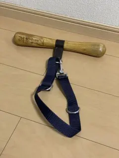 Item thumbnail for item 775f5c31-8d81-45e5-9ac7-e715990353d6