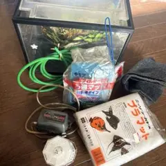 小型水槽とフィルターアクセサリーセット　 31✖️18✖️24初心者用説明書付き