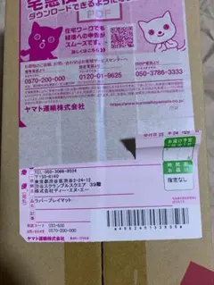 【5000枚限定】新品未開封 ポケマスEX プレマ おしゃれを楽しむリーリエ