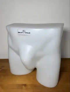 BODY WILD メンズ下着用 ディスプレイ トルソー