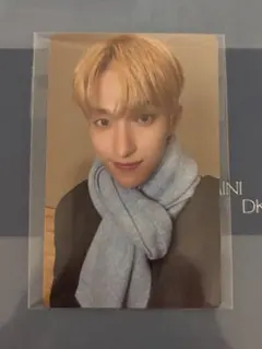 SEVENTEEN DxS Serenade マフラーver. ドギョム トレカ