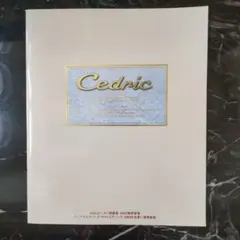 Item thumbnail for item 4ce4b35d-86a2-4fa1-8d2f-52058d7a0093