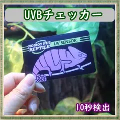 Item thumbnail for item f206c556-8ab8-414f-b53d-6510686e543f