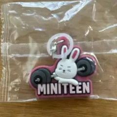 ミニティーンSEVENTEEN 目印アクセサリー　ガチャガチャ　エスクプス