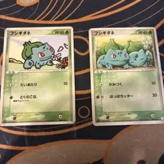 フシギダネ カードセット