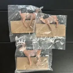 Item thumbnail for item 9b300c77-9077-4ca7-8194-0a3fed717da2