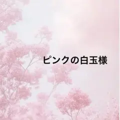 ピンクの白玉様 ポケットティッシュケース