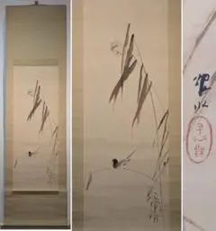 真筆】掛け軸 掛軸 竹に雀◇松浦瑞雲 共箱・タトウ箱付 - メルカリ