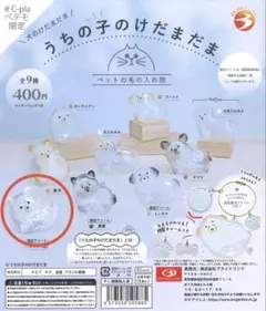 うちの子のけだまだま　限定　チワワ白