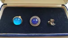 イヤリング 片耳のみ ジャンクのサムネイル