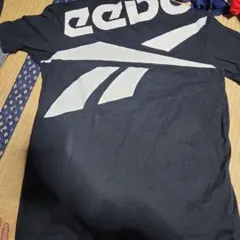 Reebok ビックロゴ ティシャツのサムネイル