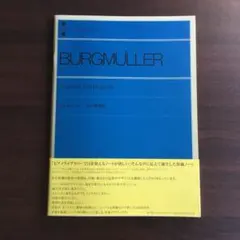 Item thumbnail for item 388a9b7b-d8da-4fe1-8317-df8fa7a424f8