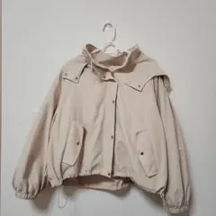 Item thumbnail for item 951711bc-264a-43ee-ad08-907189d087d8