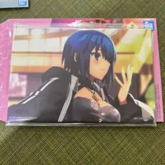 一番くじ FGO Fate/Grand Order シエル　G賞　イラストボード