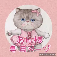 あん様専用ページ