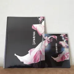 ❄️公演パンフレット付❄️滝沢歌舞伎ZERO Blu-ray Snow Man