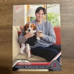 2026年最新】大谷翔平デコピンカードの人気アイテム - メルカリ