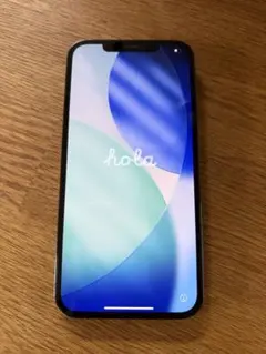 【美品】iPhone 12 Pro Max 256GB パシフィックブルー