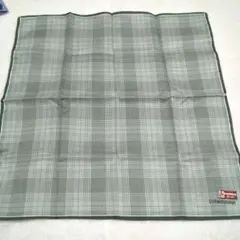 Item thumbnail for item d958f7f8-4ca0-4e06-98e5-1dea4ab62ad3