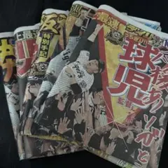 阪神　優勝　スポーツ新聞　5紙