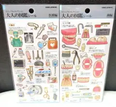 大人の図鑑　シール 医療　 歯　2枚セットのサムネイル