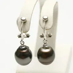 タヒチ黒蝶真珠パールイヤリング 　10mm 　ブラックカラー 　普段使い