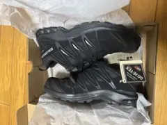 Salomon XA Pro 3D GORE-TEXBlack/Magneのサムネイル