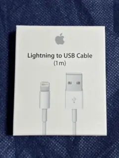 Apple Lightning to USB Cable 1m