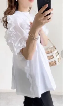 【限定値引き】美品Emma Taylor シアーフリルスリーブブラウスのサムネイル