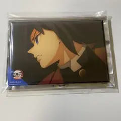 鬼滅の刃　無限城編第一章 冨岡義勇 全方位コレクション缶バッジ　⑤