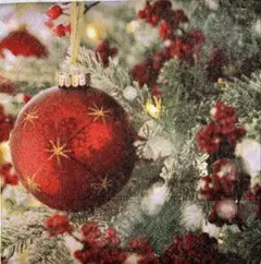 ꕤ︎︎·͜· Xmasカクテル4⑬・ 4枚セットペーパーナプキン