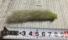 さくら様 リクエスト 5点 まとめ商品