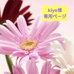 ✮kiyo様専用ページ✮
