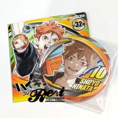 ハイキュー!!　ファンパーク　コレクション缶バッジ　日向翔陽