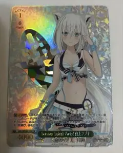 sp ヴァイスシュヴァルツ