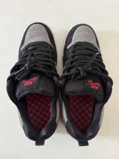 Nike SB Paul Rodriguez Zoom Air Low 27cm