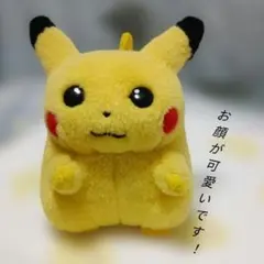 2026年最新】ピカチュウ 初代 ぬいぐるみの人気アイテム - メルカリ