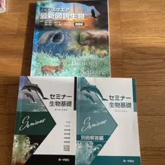 Item thumbnail for item b93fb586-26a3-4aa2-8272-faea9f7c54a1