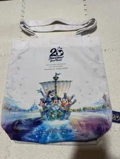 ディズニーランド 25周年 ドリームアート 非売品 限定 - メルカリ