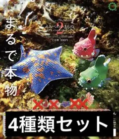 2026年最新】ダンゴウオ マグネットの人気アイテム - メルカリ