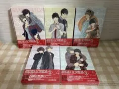 SUPER LOVERS 2 初回全5巻セット DVD 未開封