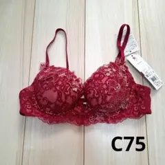 Item thumbnail for item cac804fa-4456-49ee-bddc-578f3db5ef27