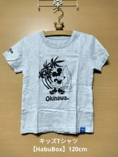 キッズTシャツ【HabuBox】120cmのサムネイル