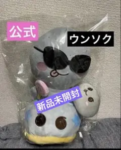 RIIZE ウンソク ソンヨンドリ 20cmぬいぐるみ - メルカリ